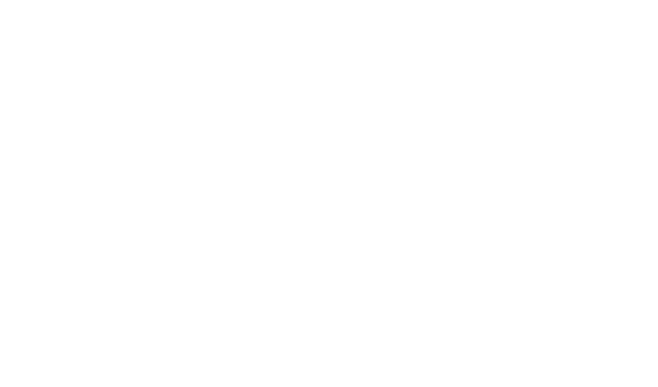 Logo Mochinho.pt